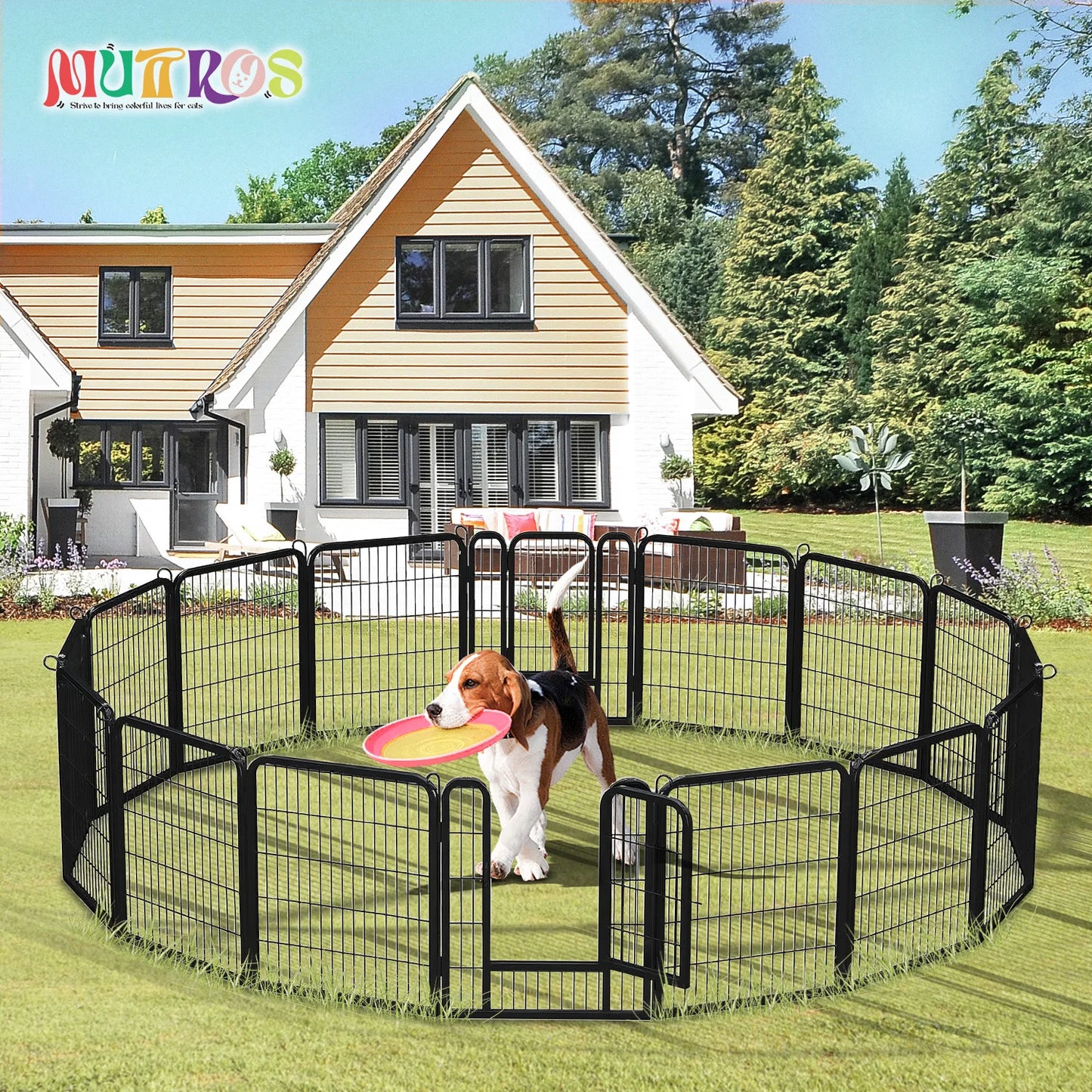 Foldable Metal Pet Fence
